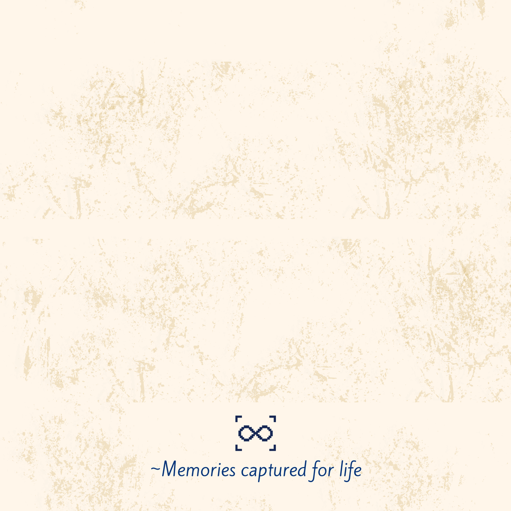 Timeless Travel (Hardcover)