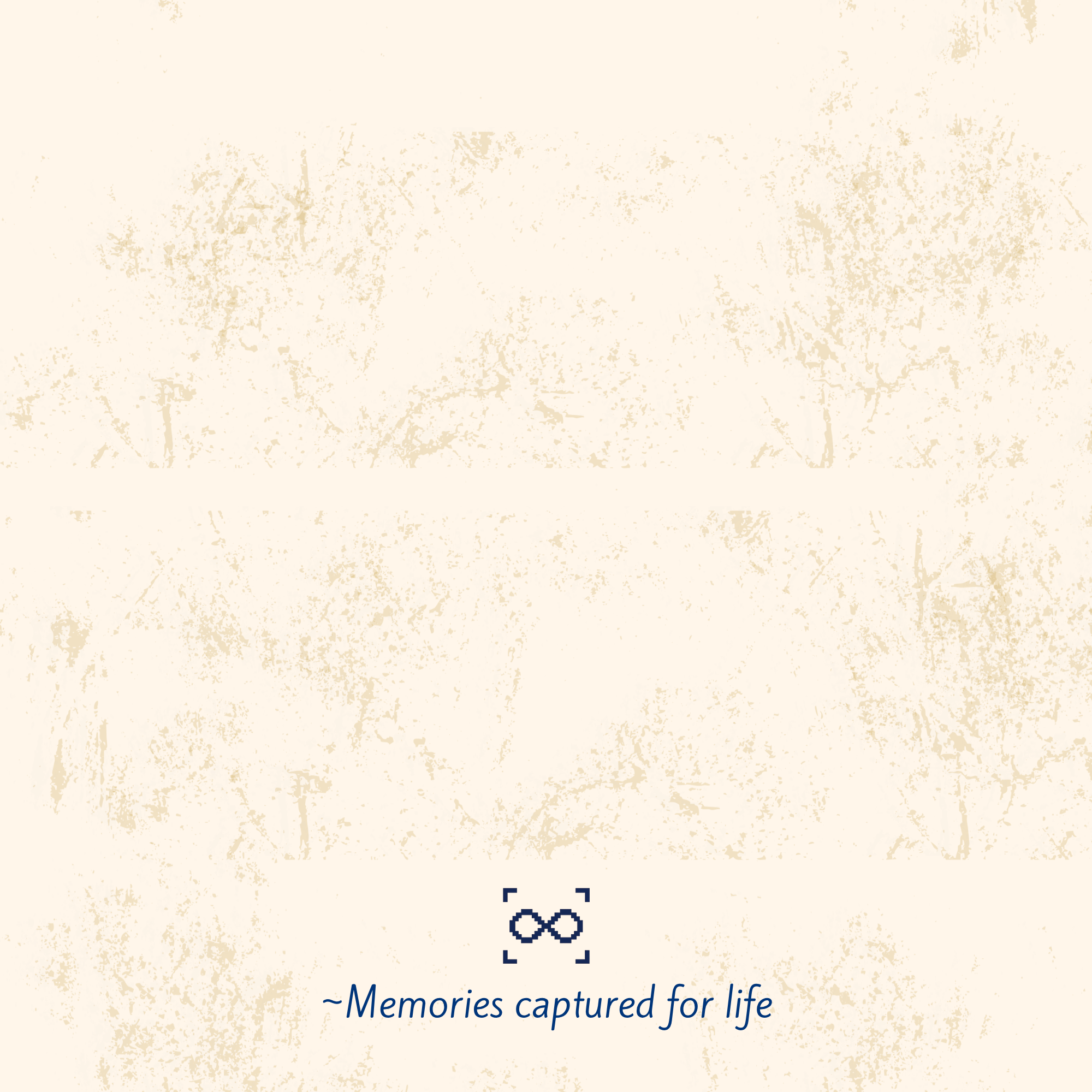 Timeless Travel (Hardcover)